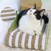 Scratch Pad Interactive Pet Toy Furniture Protection Green Playing Entertaining Claw Sharpening