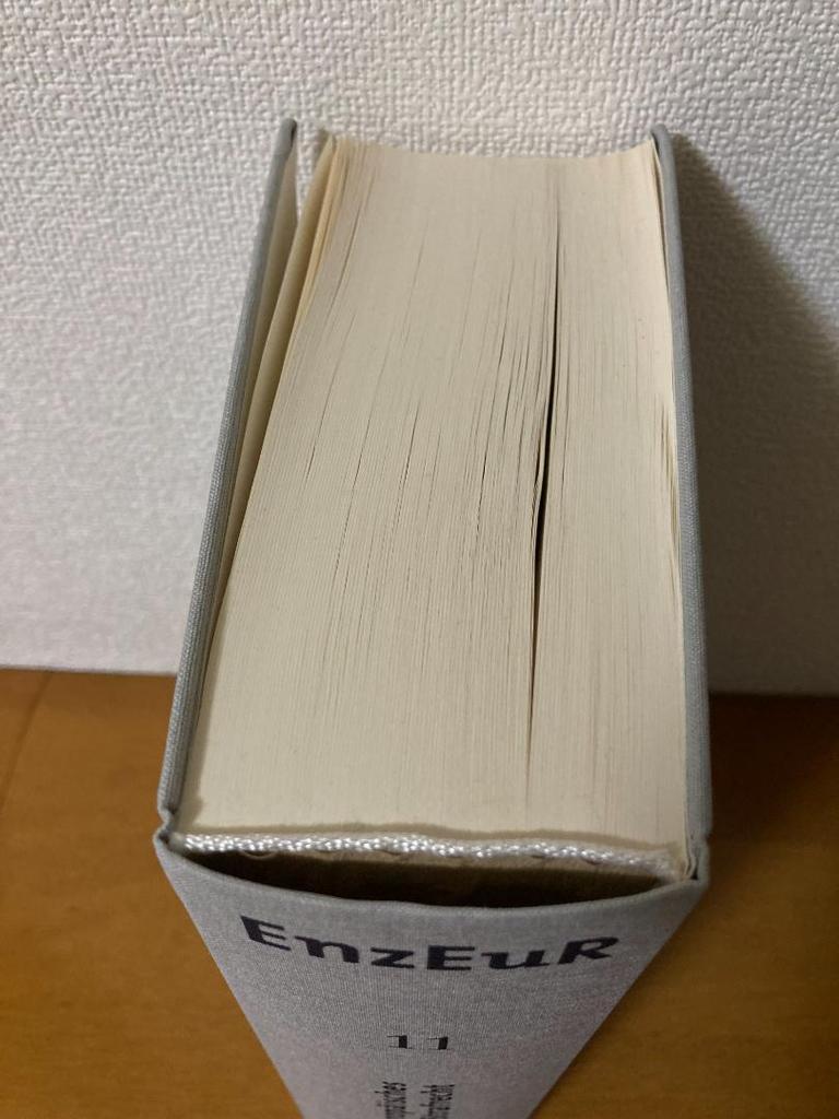 [USED] Foreign Books / Europäisches Strafrecht (2. Auflage)
