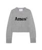 AMES-WORLDWIDE Basic Pullover Knit Gray