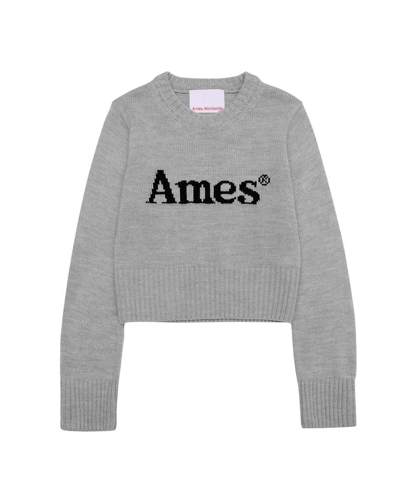 AMES-WORLDWIDE Basic Pullover Knit Gray