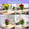 Spring Grass Artificial Flower Garden Decor With Plastic Chrysanthemum For Home And Outdoor Use