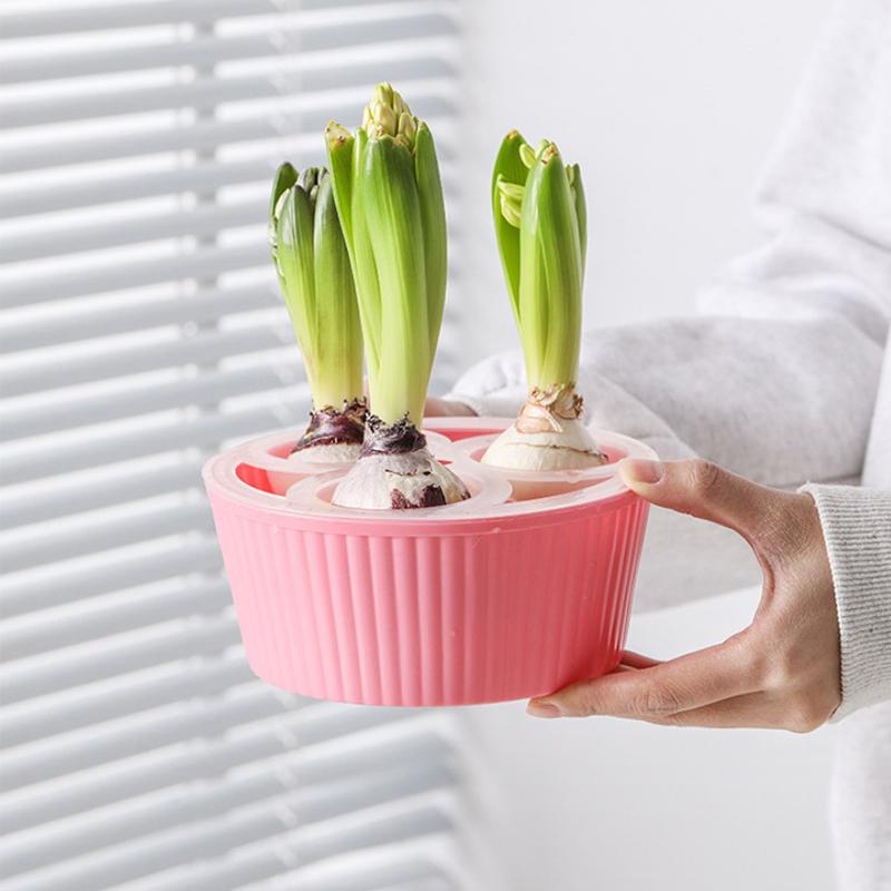 Hyacinth Tulip Seed Hydroponic Flowerpot 3/5Holes Pots For Plants Soilless Plant Pot Lazy Hydroponic Flower Pot Home Decoration