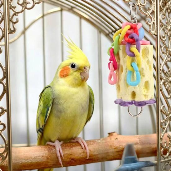 Versatile Parrot Cage Accessories Ring Plastic 1 Pc