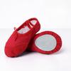 Kinder Tanzschuhe Übung Weichsohlige Ballettschuhe Erwachsene Tanzschuhe Yoga Schuhe