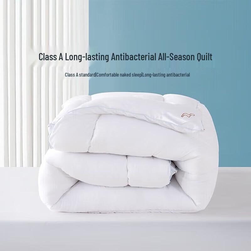 Mercury Home Textiles Class A Seven-Hole Fiber All-Season Quilt