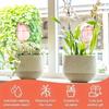 Sfere per l'irrigazione di piante di tulipano rosa per piante in vaso da interno ed esterno Gocciolatori automatici per piante Strumenti automatici per l'irrigazione