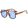 JYL TS Sunglasses Women UV Protection Street Shot 5743