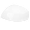 Door Mirror Cover Cap Strong Protection Long Durability Weather Proof Rearview Mirror Cap Trim for