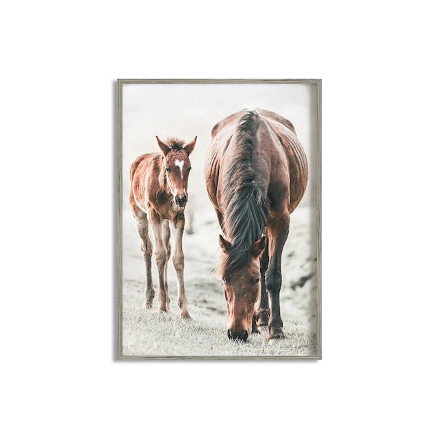 Horse Poster Print Modern Horses In The Field Wall Art HD Picture Canvas Painting Living Room Mural Home Decoration Gift Cuadros