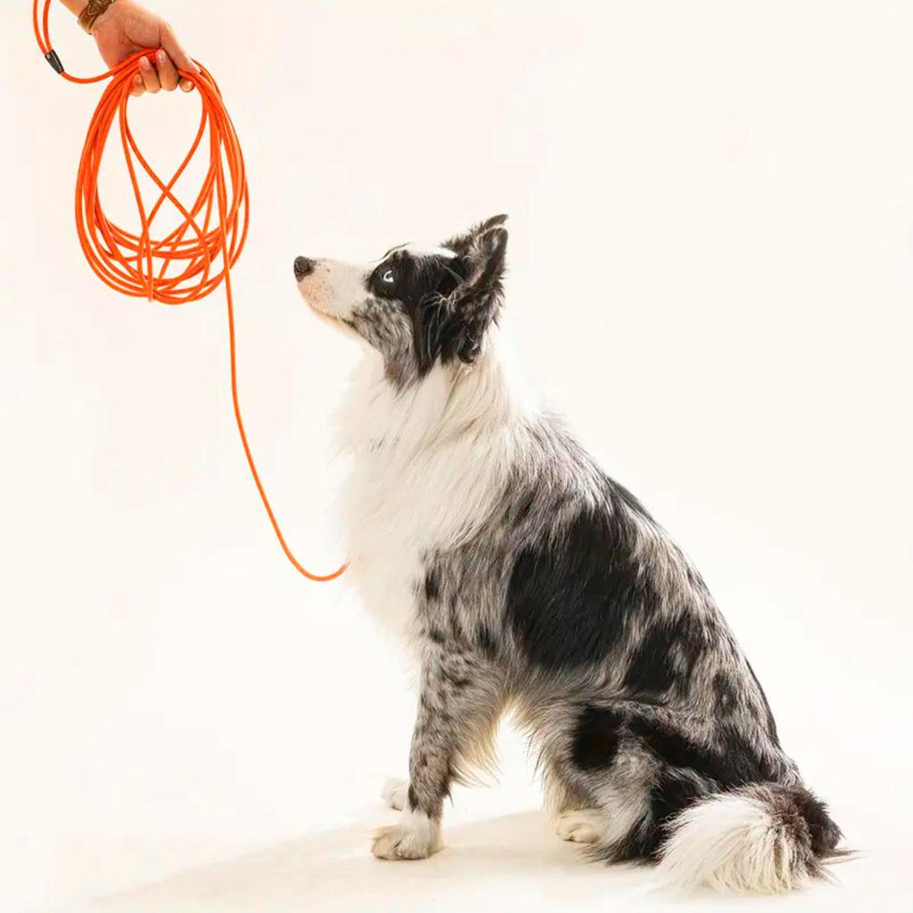 Dog Leash Long Leashes Durable Training Recall Lead Long Great for Training Game In The Garden on The Beach