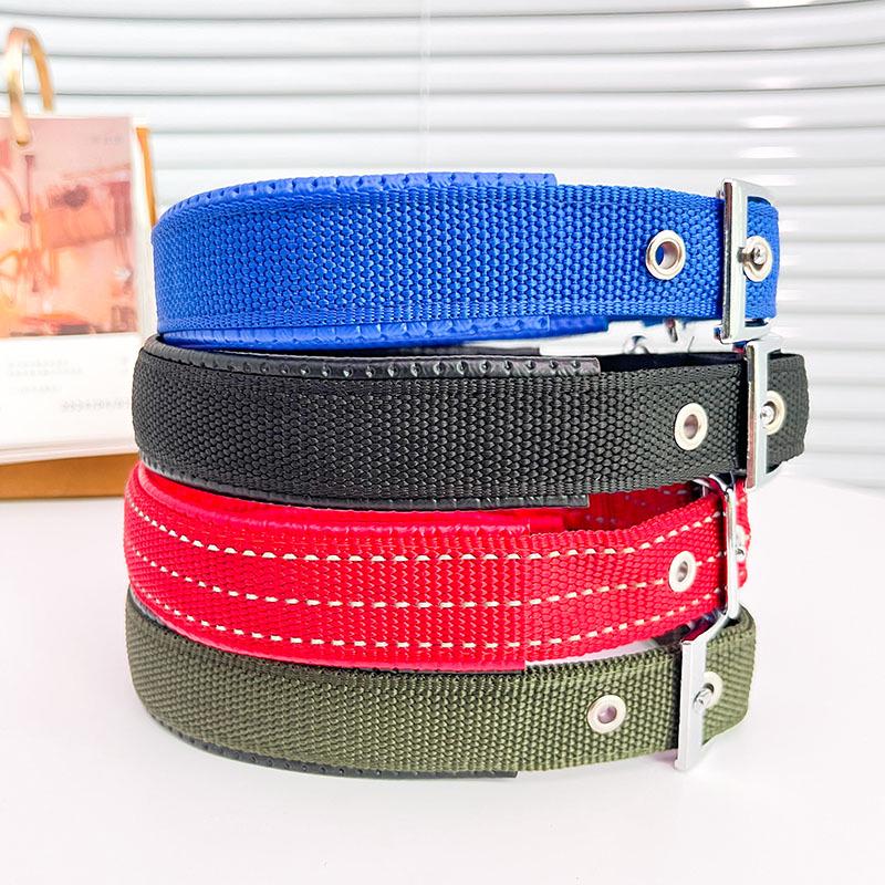 Pet Foam Collar - Available In 5 Cat Collar Designs