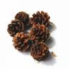 6-pack Christmas Tree Pendants Natural Primary Color Pine Cones 4-5 Cm Christmas Supplies On-site Decoration Christmas