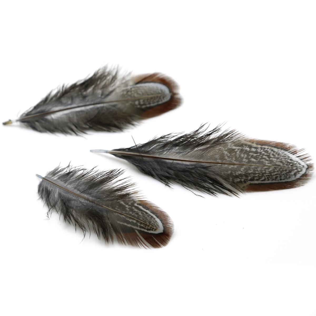 

50 шт. 4-8 см редкие драгоценные DIY свадебные вечерние декоративные разноцветные перья фазана натуральные перья для украшения дома коричневый