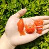 5Pcs Funny Color-Changing Baked Crab Car Pendant Car Decoration Accessories Creative Swing Goose Lobster Keychain Bag Pendant
