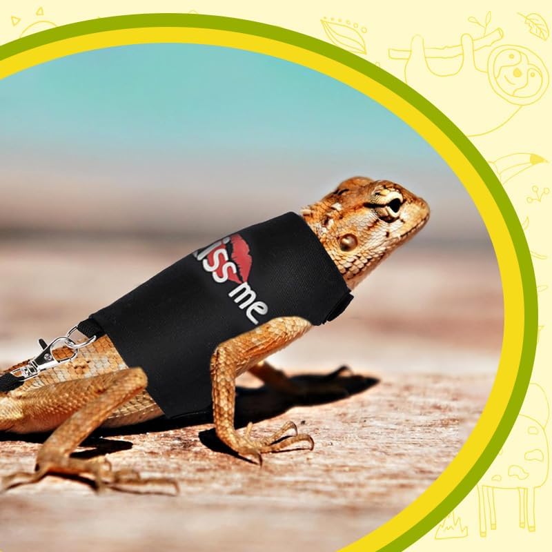 Bearded Dragon Leash and Harness Adjustable - Bearded Dragon Leash and Harness Set with Lizard Luminous Leash for Amphibians Chameleons Small Pet