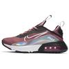 Air Max 2090 SE Desert Berry GS Women's DB0927-600