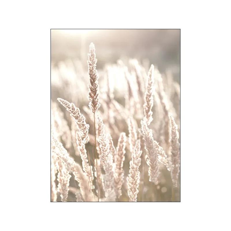 

Скандинавские растения Холст, Дикая трава, Пейзаж, Буквы, Постер с одуванчиком, Гостиная, Фон для дивана, Настенная картина 21x30cm No Framed