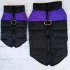 Winter Dog Ski Suit: Thickened Cotton Jacket & Warm Vest