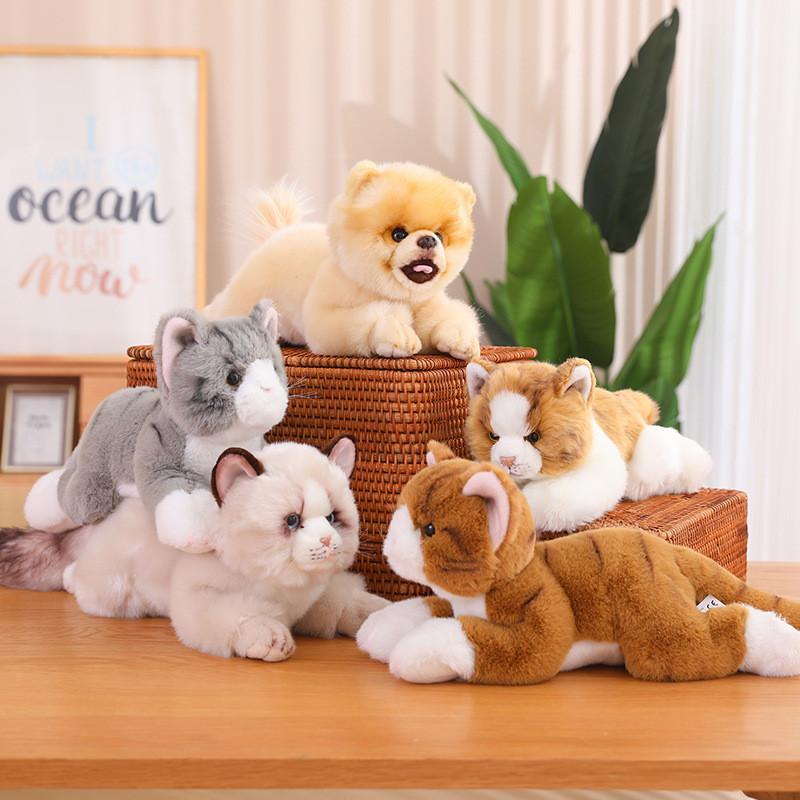Fluffy Pomeranian Plush Toy Cat Doll Car Ornament Cute Kitten Pillow Pacifying Doll