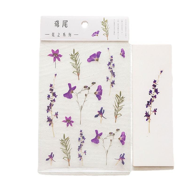 1 Blatt lustiger Blumen-/Pflanzenaufkleber, Kunsthandbuch, Tagebuch, DIY-Dekoration, PET-Aufkleber für Album, Notizbuch