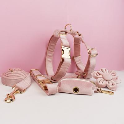 Ensemble Collier et Laisse en Velours Rose Pâle pour Chiens Plaque Nominale Gravée Personnalisée Fournitures pour Animaux de Compagnie Laisse pour Chien Velours36