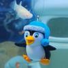 Pești și animale marine – Decorul acvariului