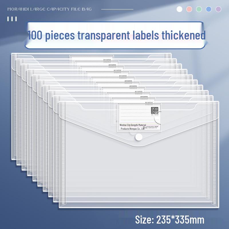Transparent A4 File Bag, Large Capacity Snap Button, Test Paper & Document Storage for Students