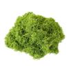 Bionic Artificial Moss Micro Landscape Ornaments for Bonsai and Paving