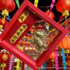Year of the Horse Pure Gold Pendant: 'Instant Prosperity' Keychain Souvenir
