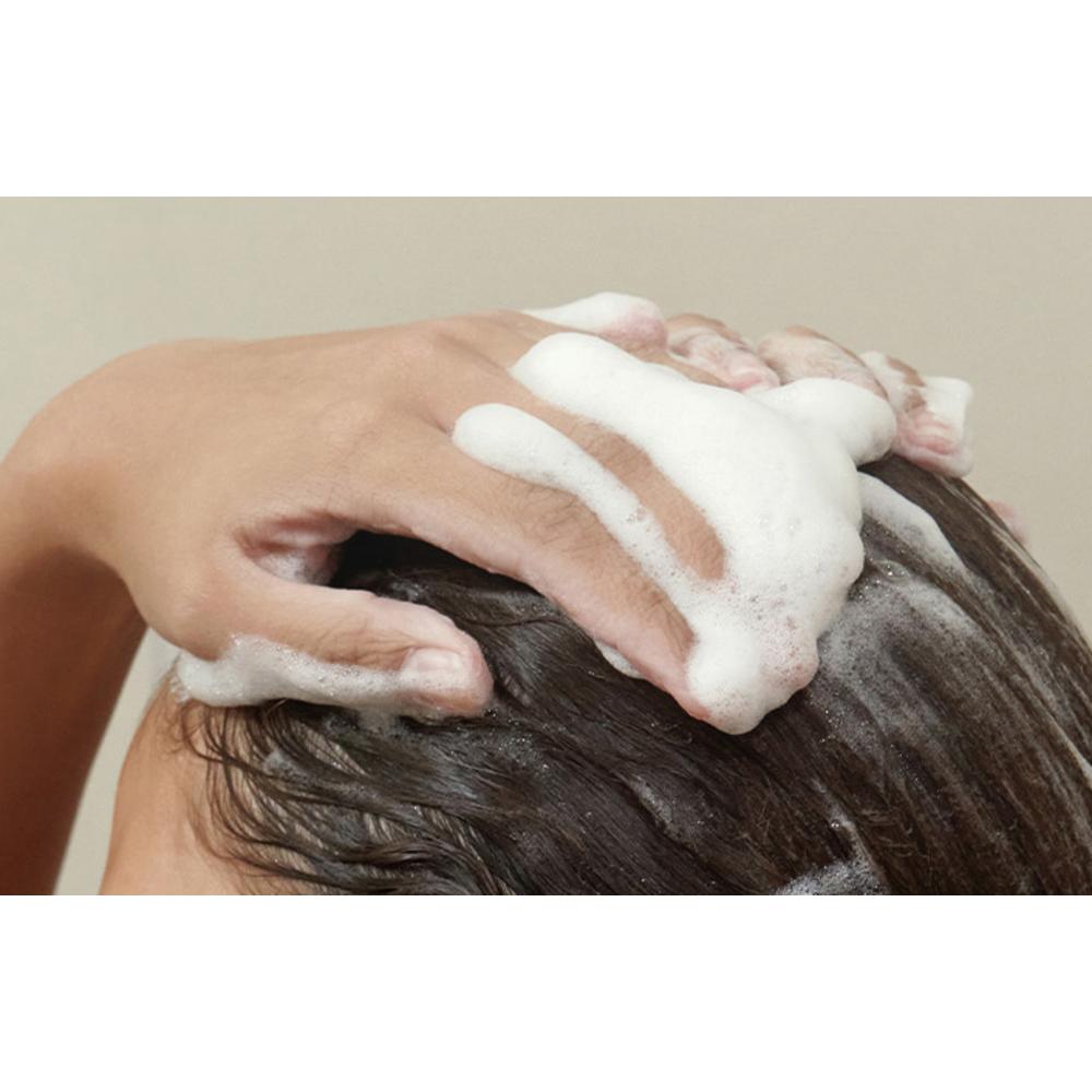 AROMATICA Rosemary Scalp Scaling Shampoo Refill, 500ml, 1 Piece