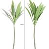 Plastic Brazilian Beauty Tequila Large Fake Plants Artificial Cycas Plants  Floral Material
