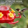 Kolibri-Futterspender 8 oz Rotes Acryl Kürbis Nektarspender 5 Blütenöffnungen mit Sitzstangen Integrierter Ameisenbrunnen und Bienenabwehr für Hof Garten Hinterhof