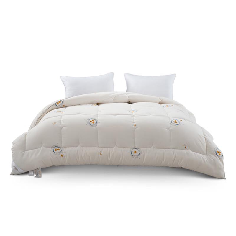 

Mercury Home Textiles All-Season Comfort Quilt