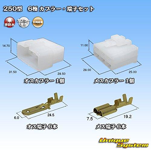 Yazaki Sogyo 250 type CN(A) 6-pole coupler/terminal set