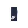 Nike Solid Color Drawstring Shorts With Logo Men Bottoms Blue DX0503-410