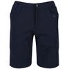 Regatta Mens Delgado Shorts