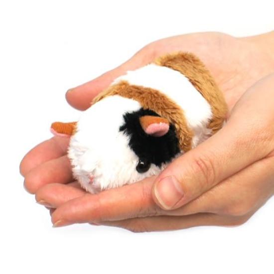 

TST Advanced Little Beans Guinea Pig 10574