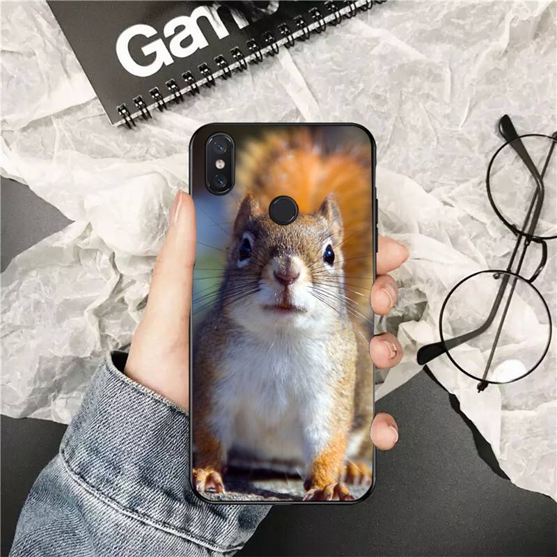 YNDFCNB Cute Animal Squirrel Customer Phone Case for Xiaomi Redmi 5 5Plus 6 6A 4X 7 7A 8 8A 9 Note 5 5A 6 7 8 8Pro 8T 9