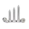 304 Stainless Steel Low Head Hex Socket Self-Tapping Screws with Cylindrical, Cup, and Flat Heads