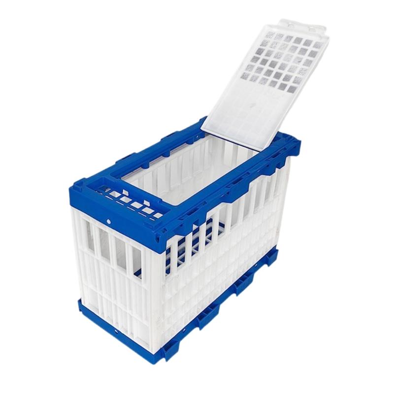 Verbindbarer Kunststoff-Vogelkäfig für Outdoor-Training, tragbare Voliere für Tauben, Papageien, Jungvögel, Doppeltür-Design