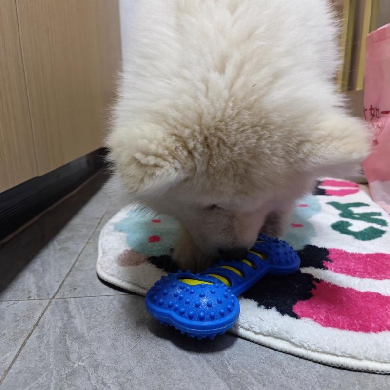 Dog Toy Squeaker Bone Dental & Gums Wellness,Stimulating Fun,Hiddens Squeaker,Durable for Heavy Chewers Easy To Clean