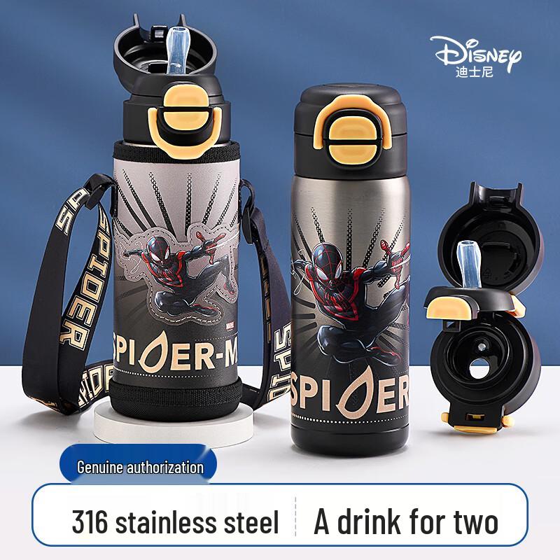 Disney Kids  316 Stainless Steel Dual-Drink Insulated Water Bottle with Straw