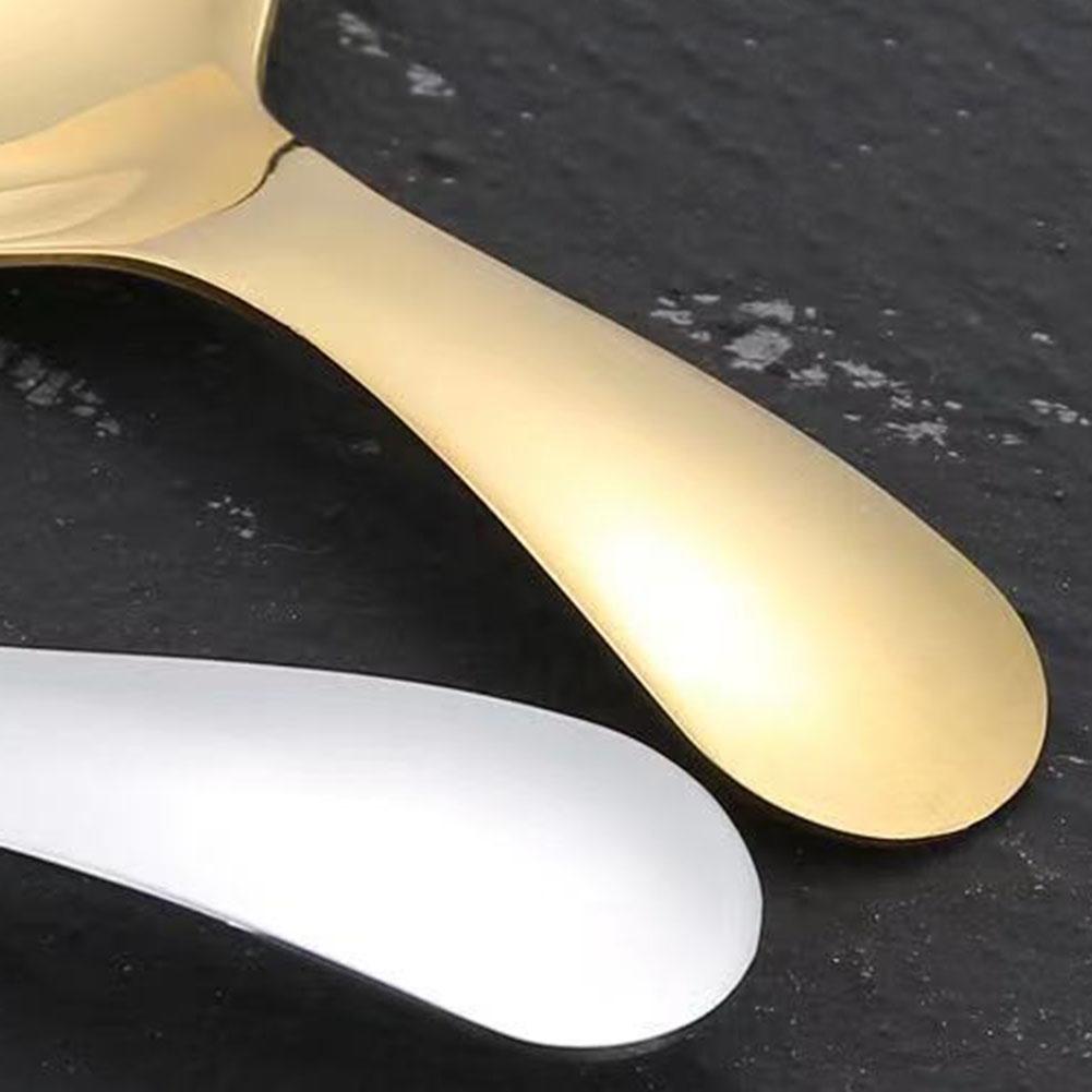 Stainless Steel Scoop Adorable Design Short Handle