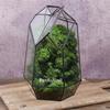 Micro Landscape Ecological Geometric Glass Terrarium with Windows Moss Indoor Plants Greenhouse Vase Container Home Decor