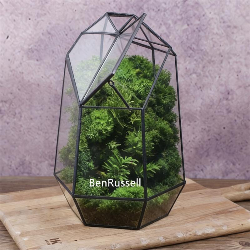 Micro Landscape Ecological Geometric Glass Terrarium with Windows Moss Indoor Plants Greenhouse Vase Container Home Decor
