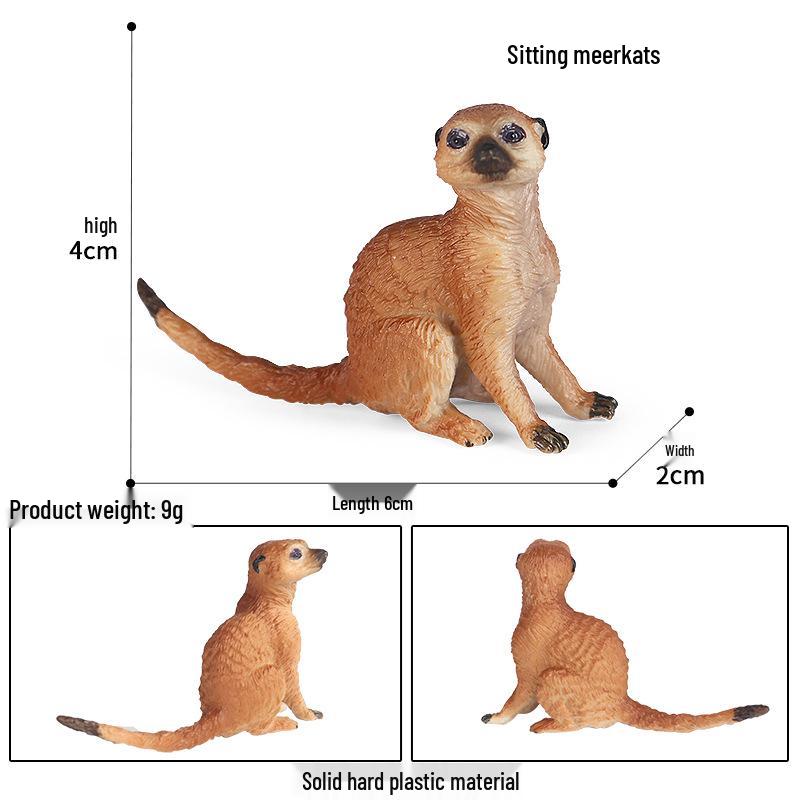 Wild Safari Animal Figurines: Giraffe, Elephant, Rhinoceros, Brown Bear, Tiger, Lion, Leopard, Hippopotamus - Solid Cognitive Toys