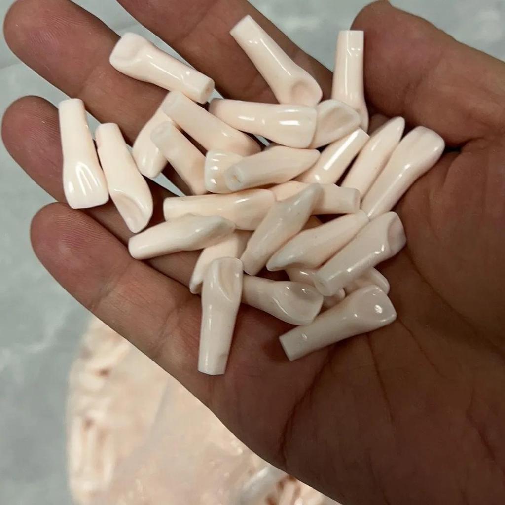 Dental Student Practice Model: Full Mouth with 28 Loose Tooth Pieces