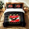 Al ahly (19) 3pc set suitable for master bedrooms soft and comfortable an ideal gift for family and friends Includes one duvet cover and two pillowcas