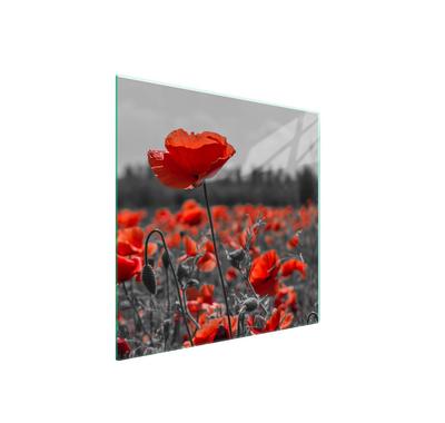 Glass Stovetop Protector 50x52 Flower