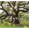 Wise Trees: Ancient Trees Photographed Worldwide, Each Holding Centuries of History In Gnarled Bark and Roots.